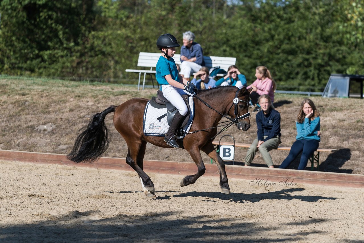 Bild 66 - Pony Akademie Turnier